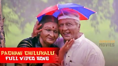 Pachani chilukalu Song Lyrics