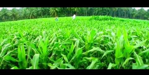 Hello Antu Pilichi Song Lyrics