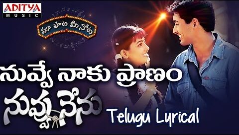 Nuvve naku pranam Song Lyrics